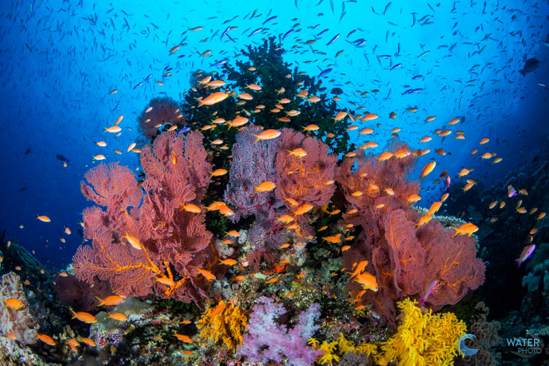 Photographed with the Canon 8-15mm fisheye lens and the Sony A7C II Photographed with the Canon 8-15mm fisheye lens and the Sony A7C II