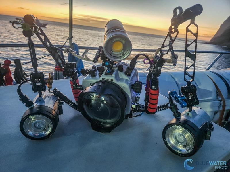 20250221-184403.jpg Sony A1 II Ikelite Underwater System in the Field