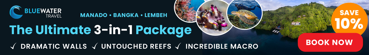 Murex-UWPG-Graphics-1200x180