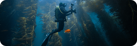 Underwater Cameras