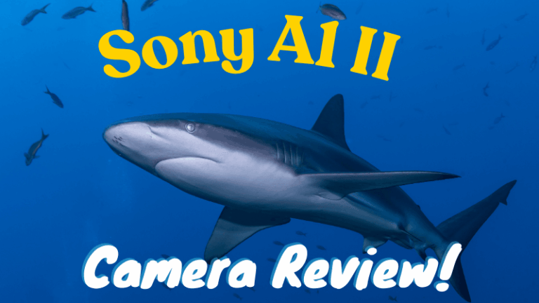 Sony A1 II Review Red Colorful Tips Youtube Thumbnail (3)