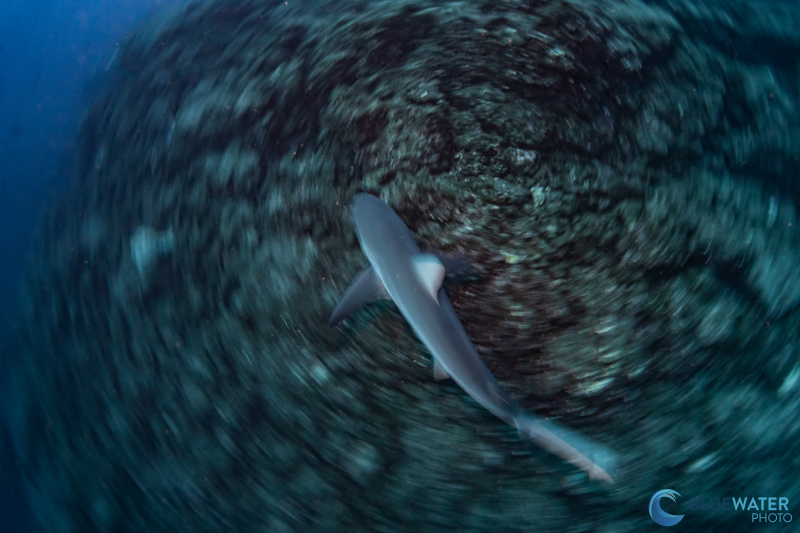 Sometimes you don't need a fast sync speed and a slow shutter speed actually gives you more room for creativity. 1/6, f/22, ISO 320 Sometimes you don't need a fast sync speed and a slow shutter speed actually gives you more room for creativity. 1/6, f/22, ISO 320