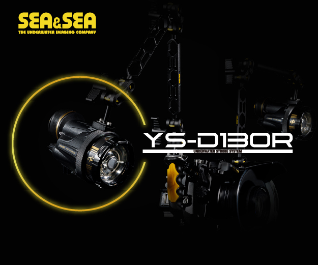 The NEW Sea & Sea YS-D130R Strobe! The NEW Sea & Sea YS-D130R Strobe!