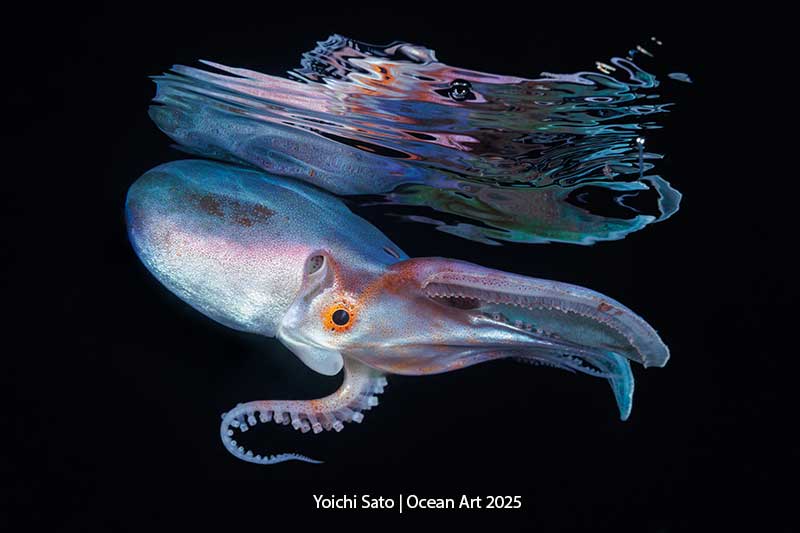 Ocean Art 2025