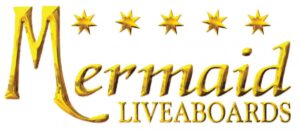 Mermaid Liveaboards Ocean Art 2025