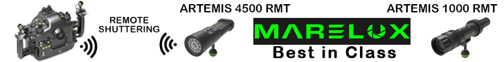 The Newest and Most Innovative Underwater Equipment Brand! Marelux Underwater Photography Gear