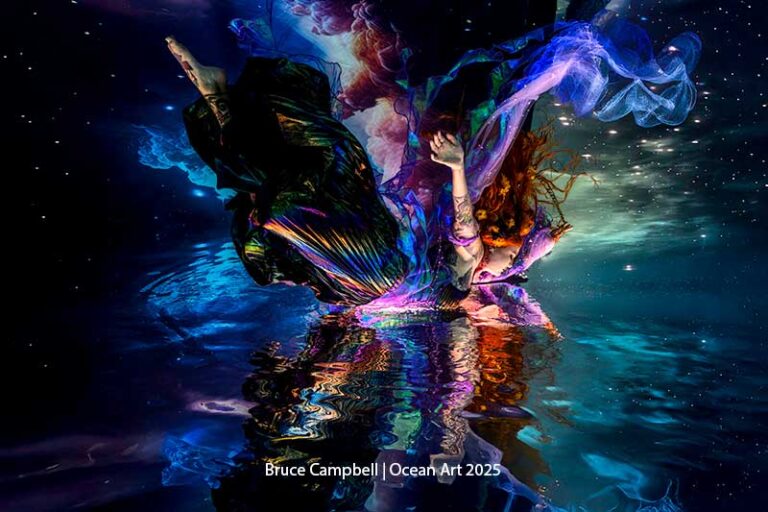 Ocean Art 2025 Stories behind the Image - Bruce Campbell Ocean Art 2025