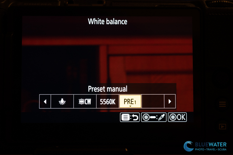 Setting a Custom White Balance - Nikon ZR