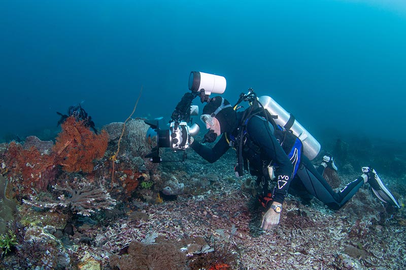 ULCS CTK-DWTK review